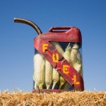 L'E10, carburant "vert" imposé aux consommateurs ?