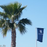 palmier alicante espagne drapeau peugeot