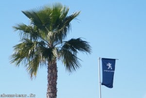 palmier alicante espagne drapeau peugeot