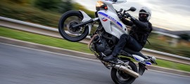 un policier motard faisant une roue arrière