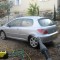 le lavage d'une peugeot 307 au karcher