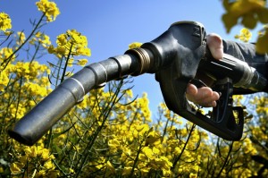 un pistolet de pompe à essence dans un champ