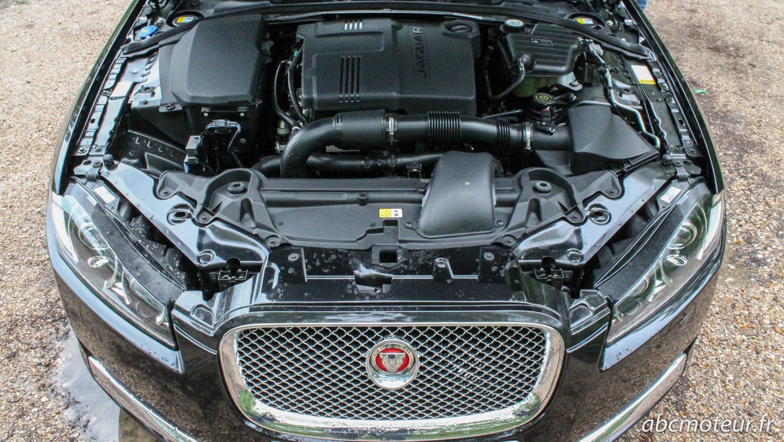 Essai Jaguar XF 2.2d 163 grande routière par excellence, Sir