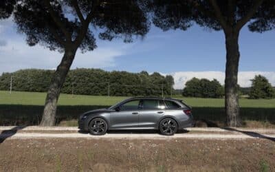 Essai Skoda Octavia Combi (2026) : tout ce qu&rsquo;il y&rsquo;a de plus rationnel